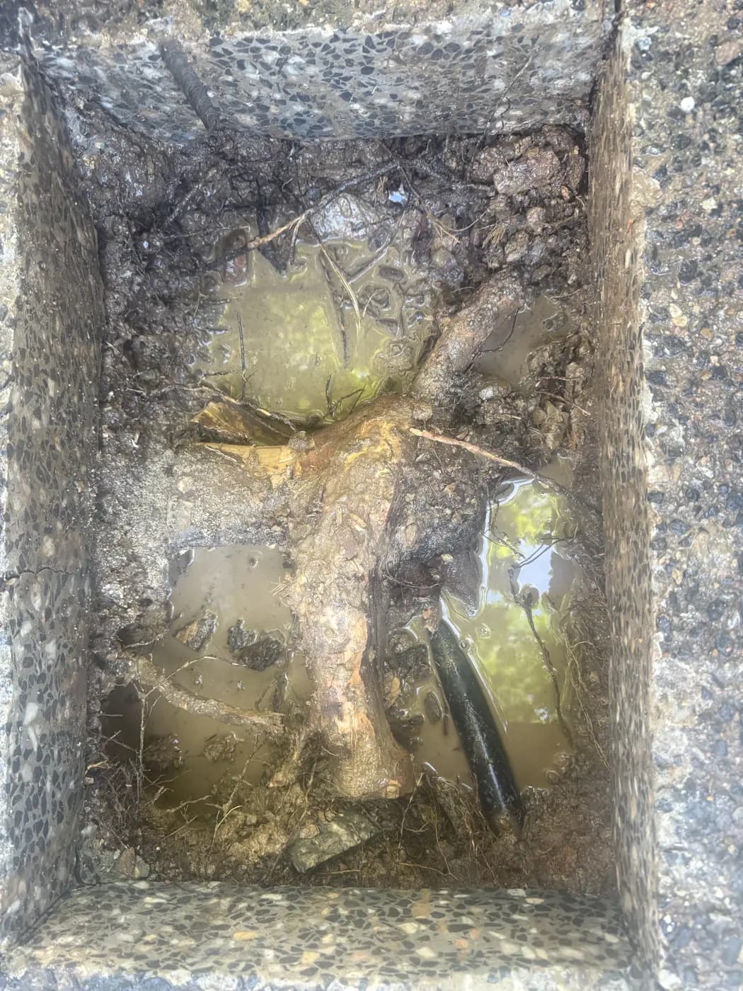Water leak under the driveway, found and fixed - after